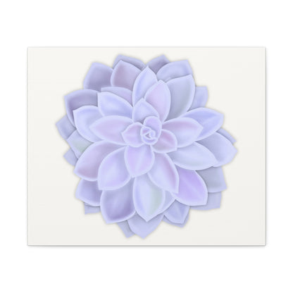 Graptopetalum Murasaki Succulent Canvas Print – Botanical Wall Art