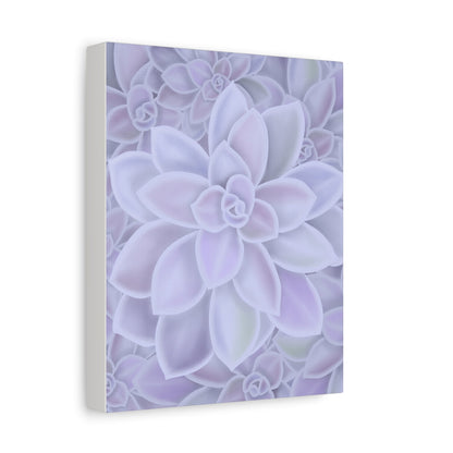 Graptopetalum Murasaki Succulent Pattern Canvas Print – Botanical Wall Art