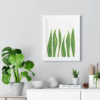 Snake Plant Framed Print – Botanical Wall Art