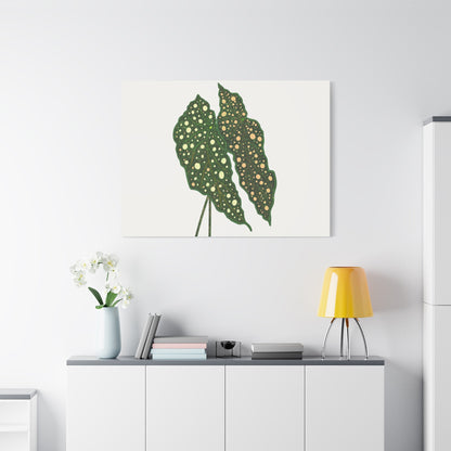 Begonia Maculata Canvas Print – Botanical Wall Art