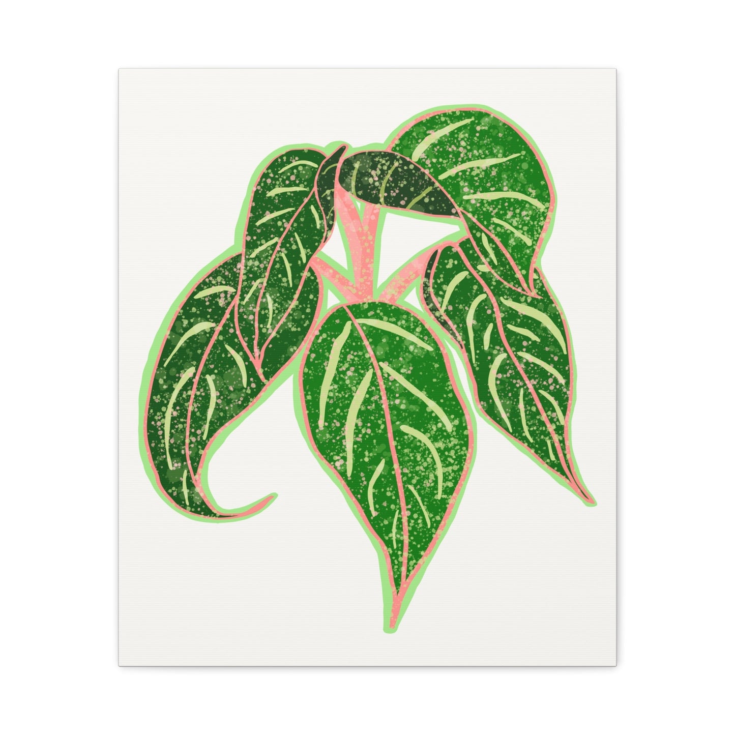 Aglaonema Sparkling Sarah Canvas Print – Botanical Wall Art