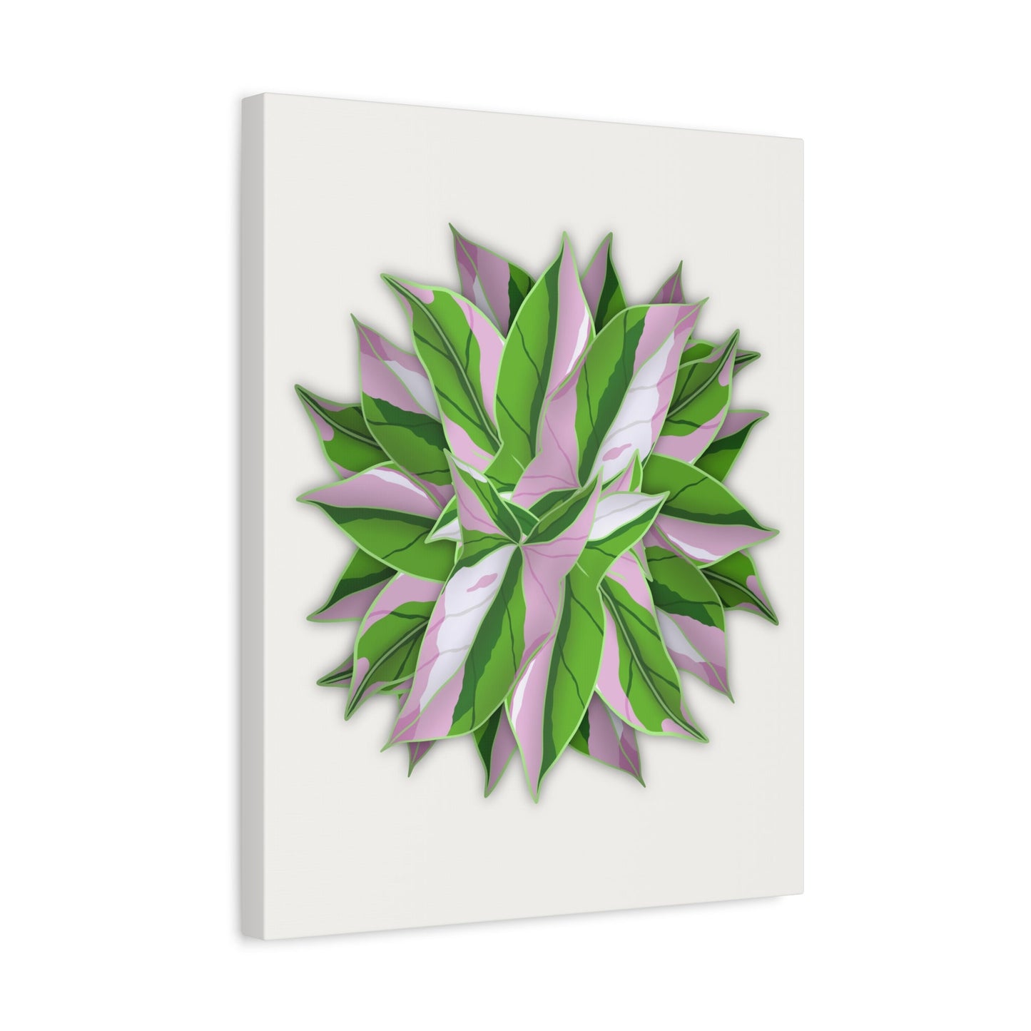 Syngonium Tricolor Pattern Canvas Print – Botanical Wall Art