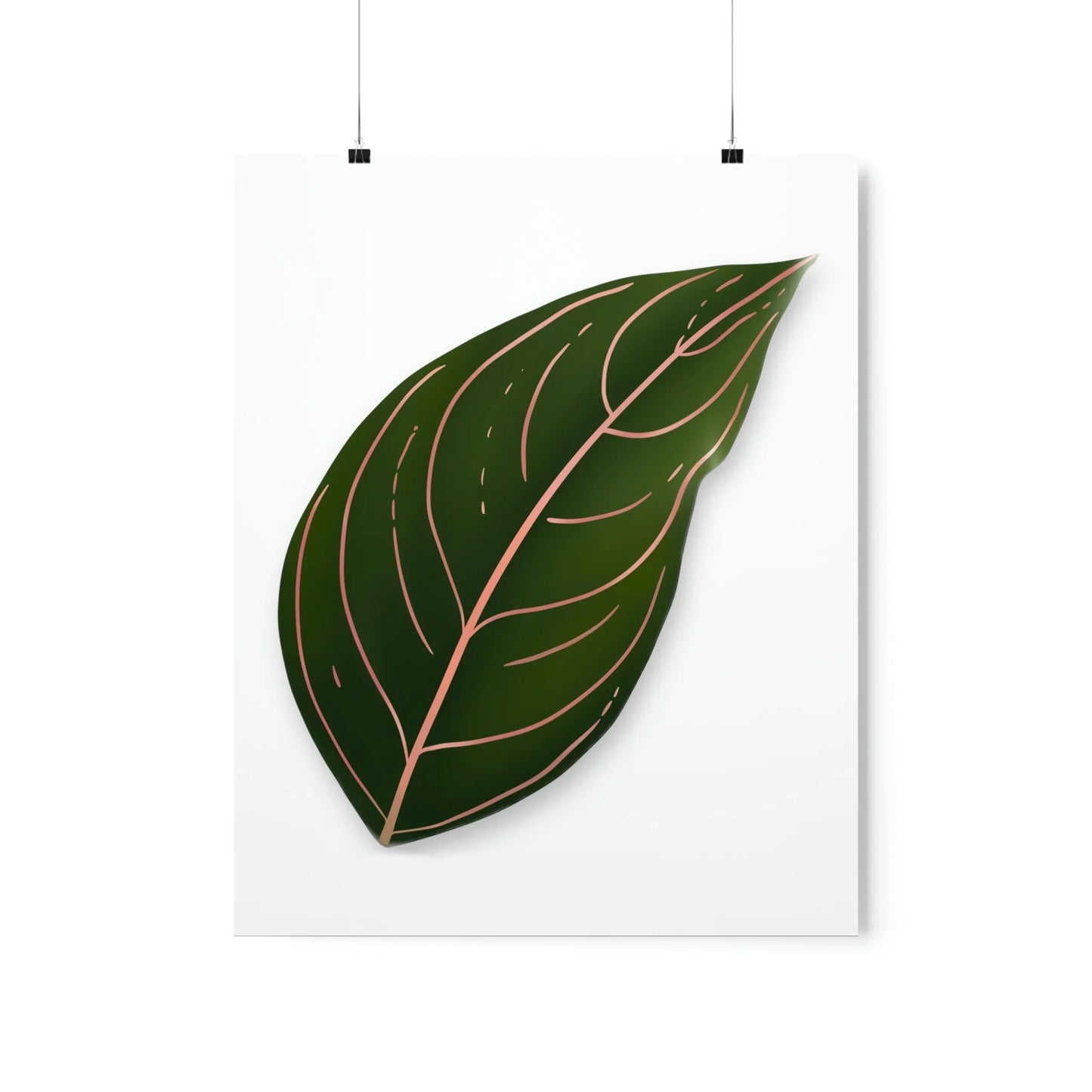 Aglaonema Rotundum Botanical Print – Unframed Wall Art
