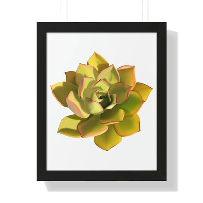 Noble Aeonium Succulent Framed Print – Botanical Wall Art