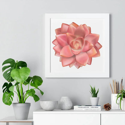 Graptosedum California Sunset Succulent Framed Print – Botanical Wall Art