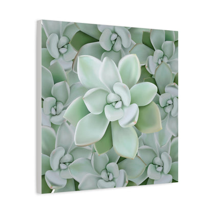 Pachyveria Haagei Succulent Pattern Canvas Print – Botanical Wall Art