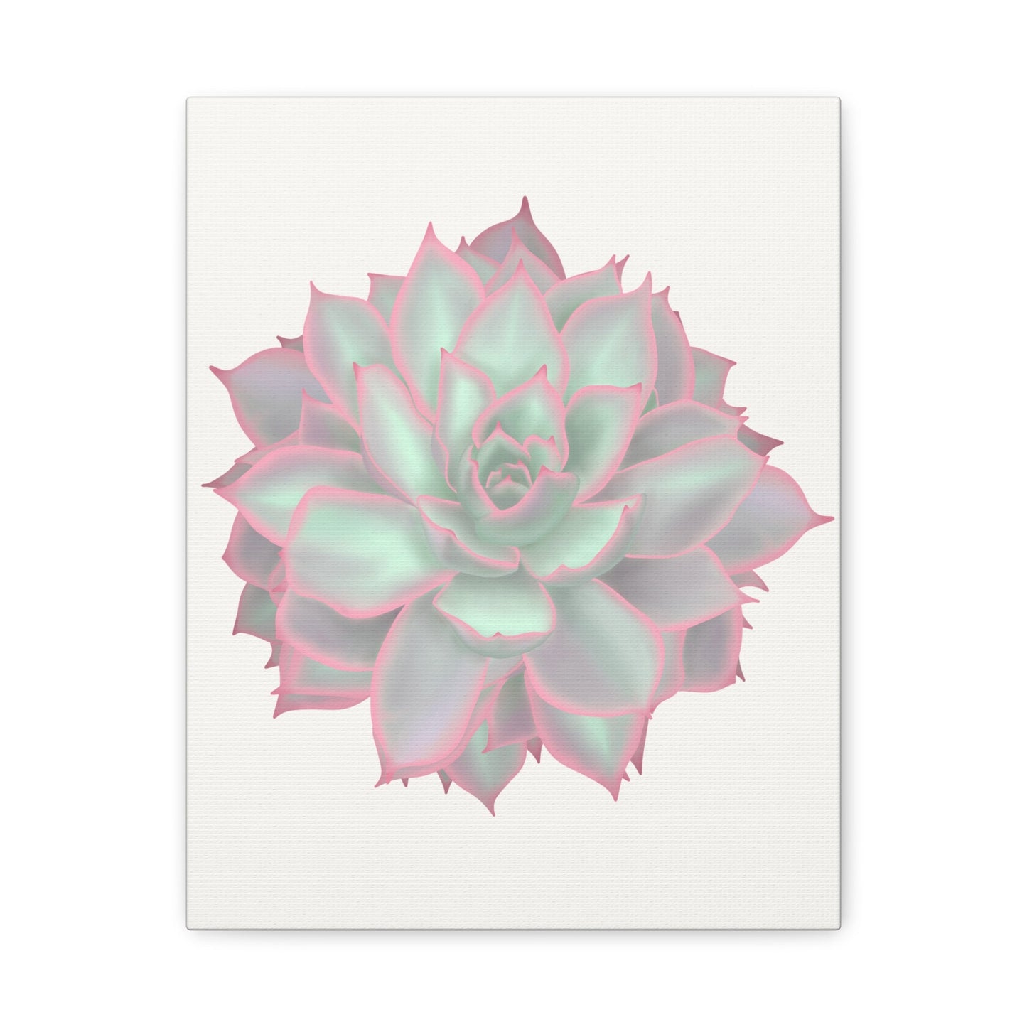 Echeveria Violet Queen Succulent Canvas Print – Botanical Wall Art