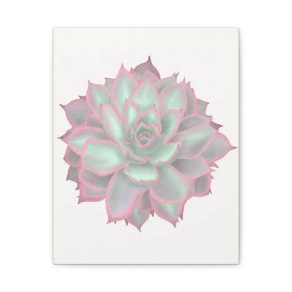 Echeveria Violet Queen Succulent Canvas Print – Botanical Wall Art