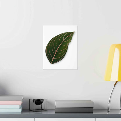 Aglaonema Rotundum Botanical Print – Unframed Wall Art