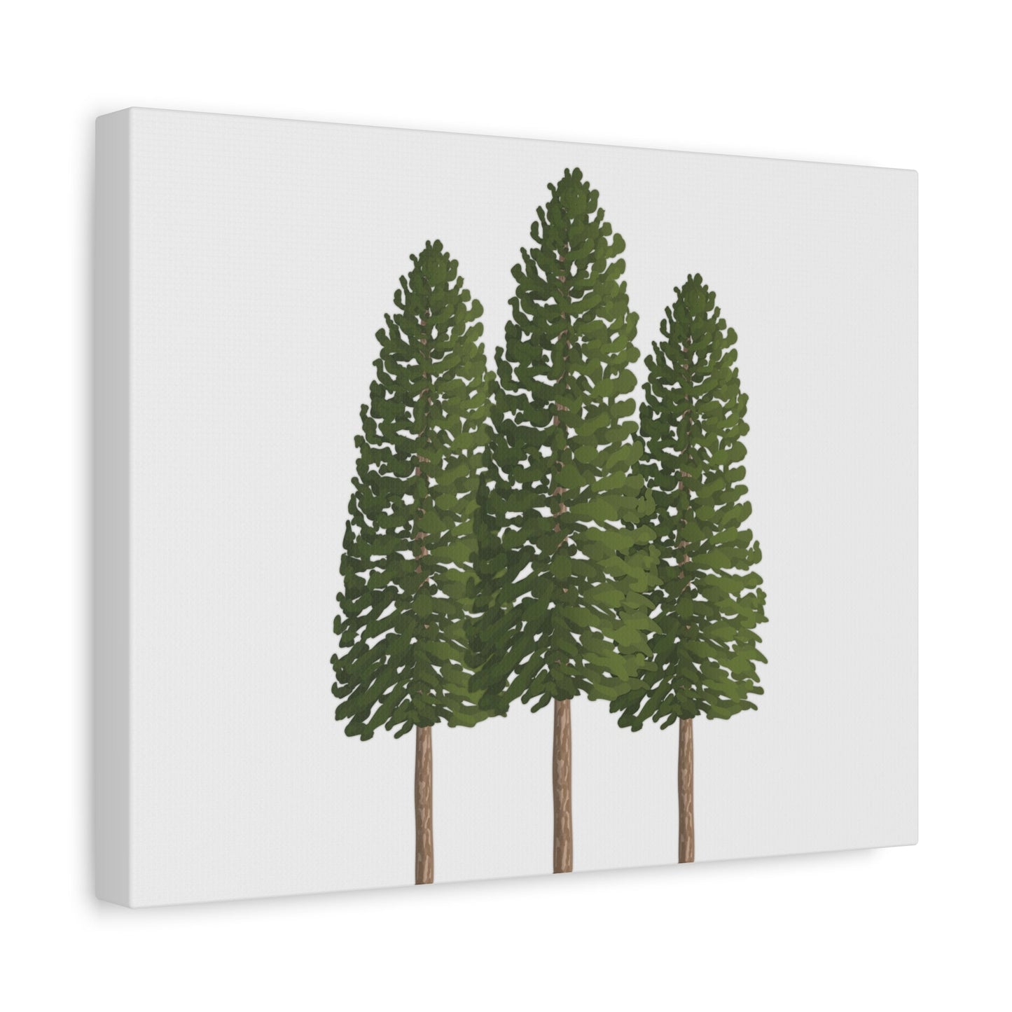 Ponderosa Pine Canvas Print – Wall Art