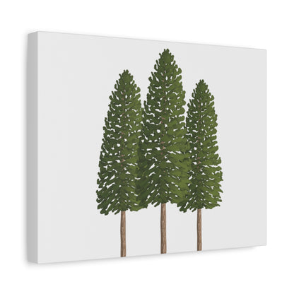 Ponderosa Pine Canvas Print – Wall Art