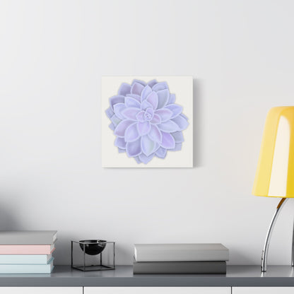 Graptopetalum Murasaki Succulent Canvas Print – Botanical Wall Art