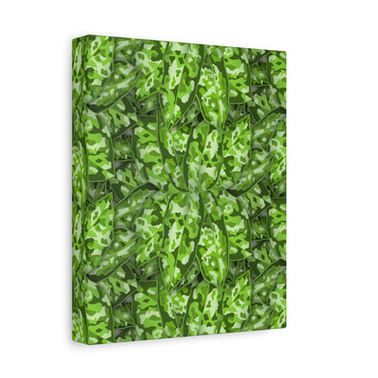 Aglaonema Pictum Canvas Print – Botanical Wall Art