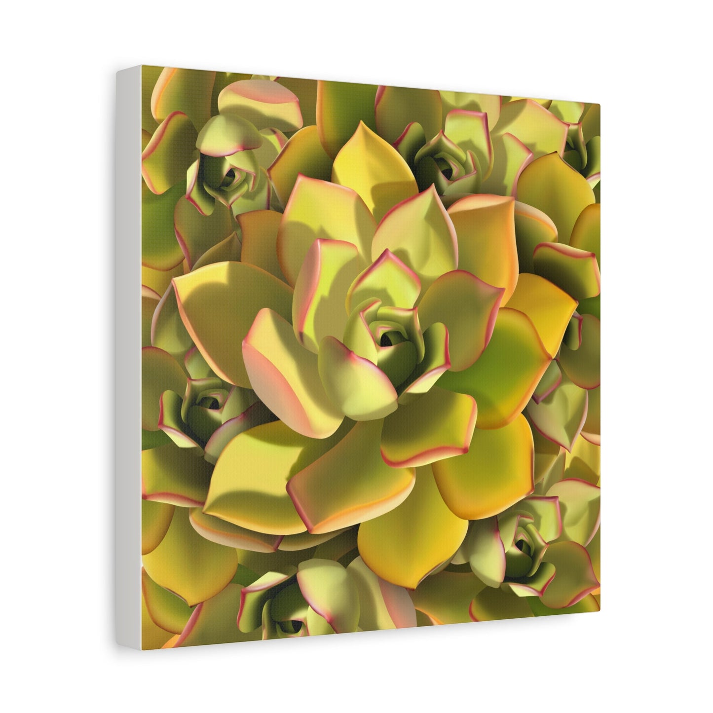 Noble Aeonium Succulent Pattern Canvas Print – Botanical Wall Art