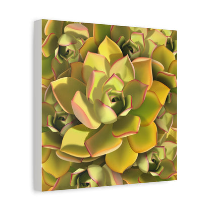 Noble Aeonium Succulent Pattern Canvas Print – Botanical Wall Art