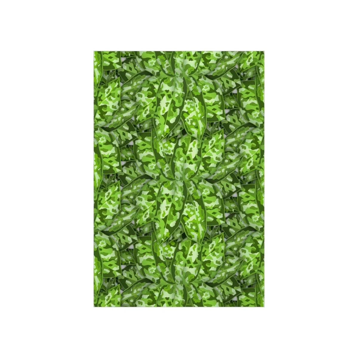 Aglaonema Pictum Botanical Print – Unframed Wall Art