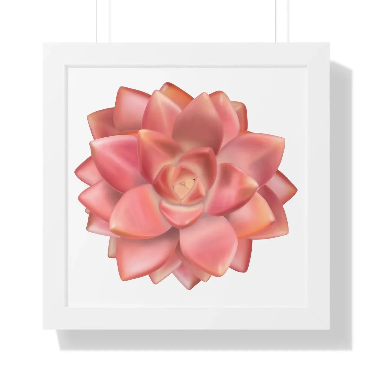 Graptosedum California Sunset Succulent Framed Print – Botanical Wall Art