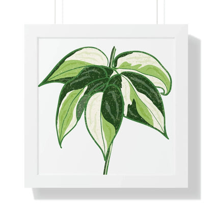 Philodendron Cream Splash Framed Print – Botanical Wall Art