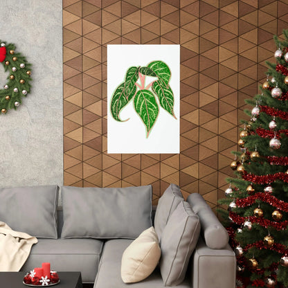 Aglaonema Sparkling Sarah Botanical Print – Unframed Wall Art
