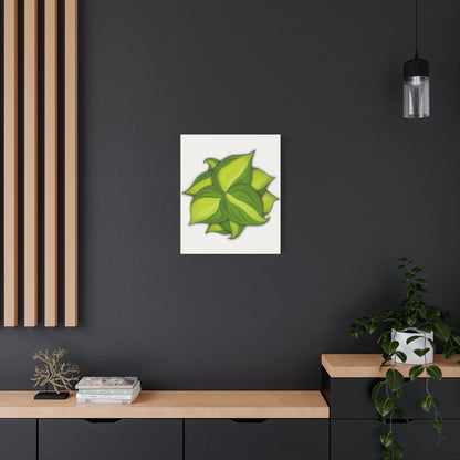 Philodendron Brasil Canvas Print – Botanical Wall Art