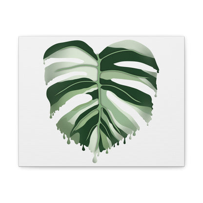 Melting Monstera Albo Canvas Print – Botanical Wall Art