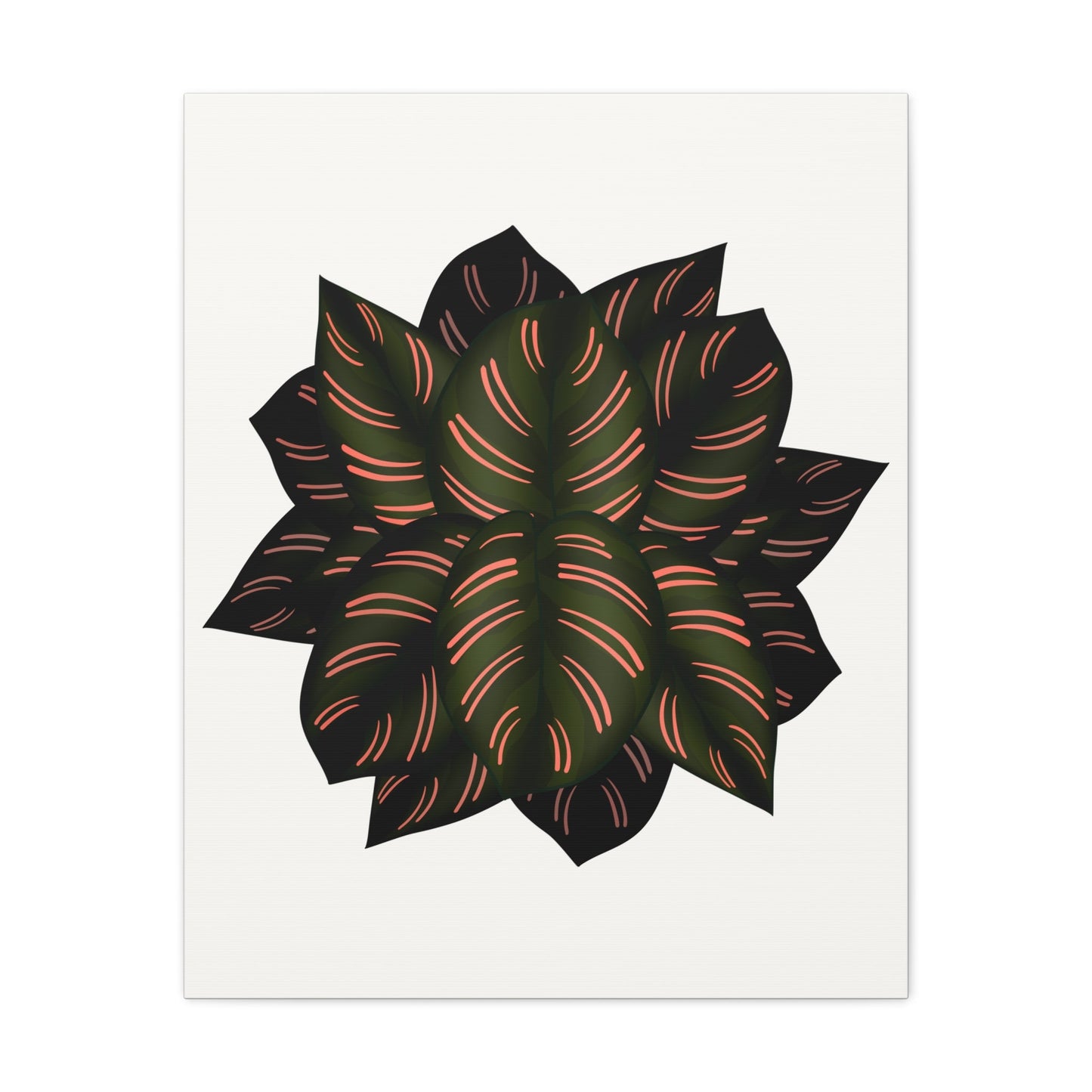Calathea Pinstripe Canvas Print – Botanical Wall Art