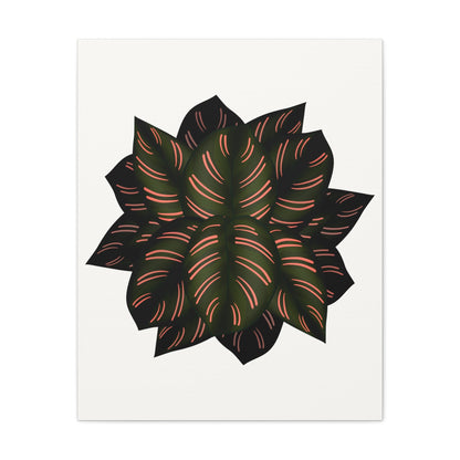 Calathea Pinstripe Canvas Print – Botanical Wall Art
