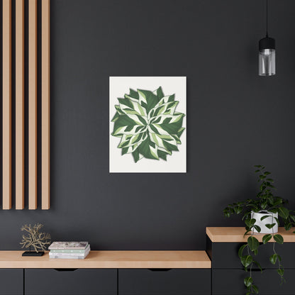 Calathea White Fusion Canvas Print – Botanical Wall Art