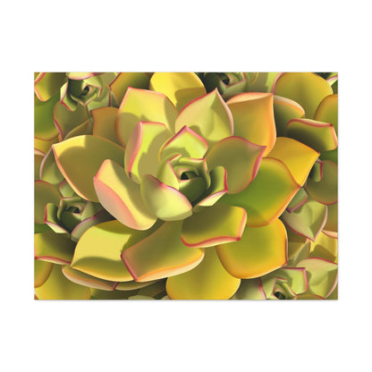 Noble Aeonium Succulent Pattern Canvas Print – Botanical Wall Art