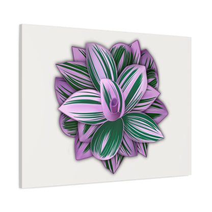 Tradescantia Nanouk Canvas Print – Botanical Wall Art