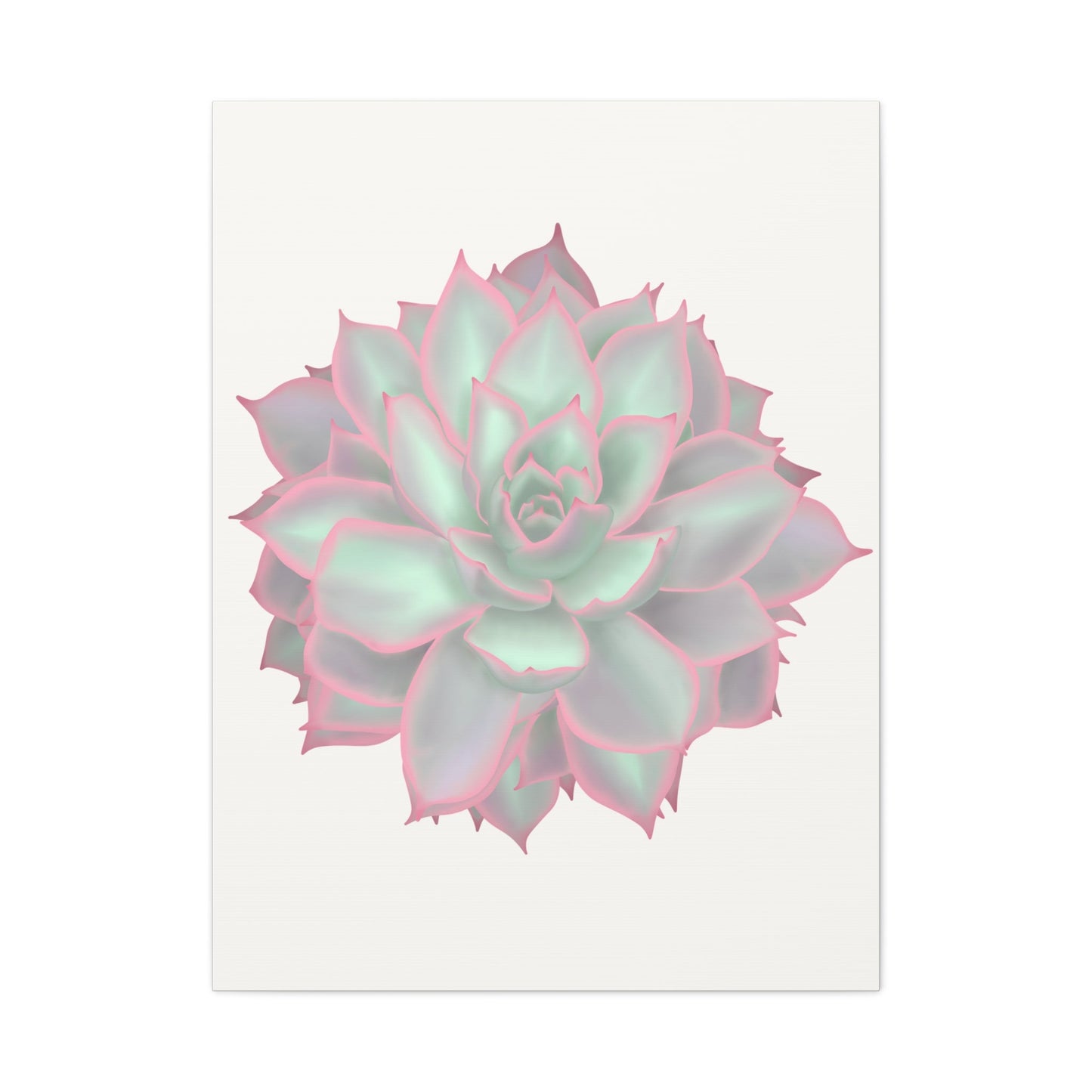 Echeveria Violet Queen Succulent Canvas Print – Botanical Wall Art