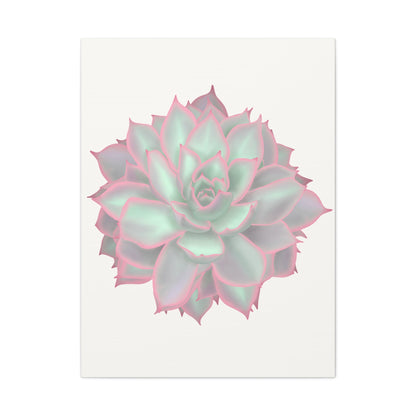 Echeveria Violet Queen Succulent Canvas Print – Botanical Wall Art
