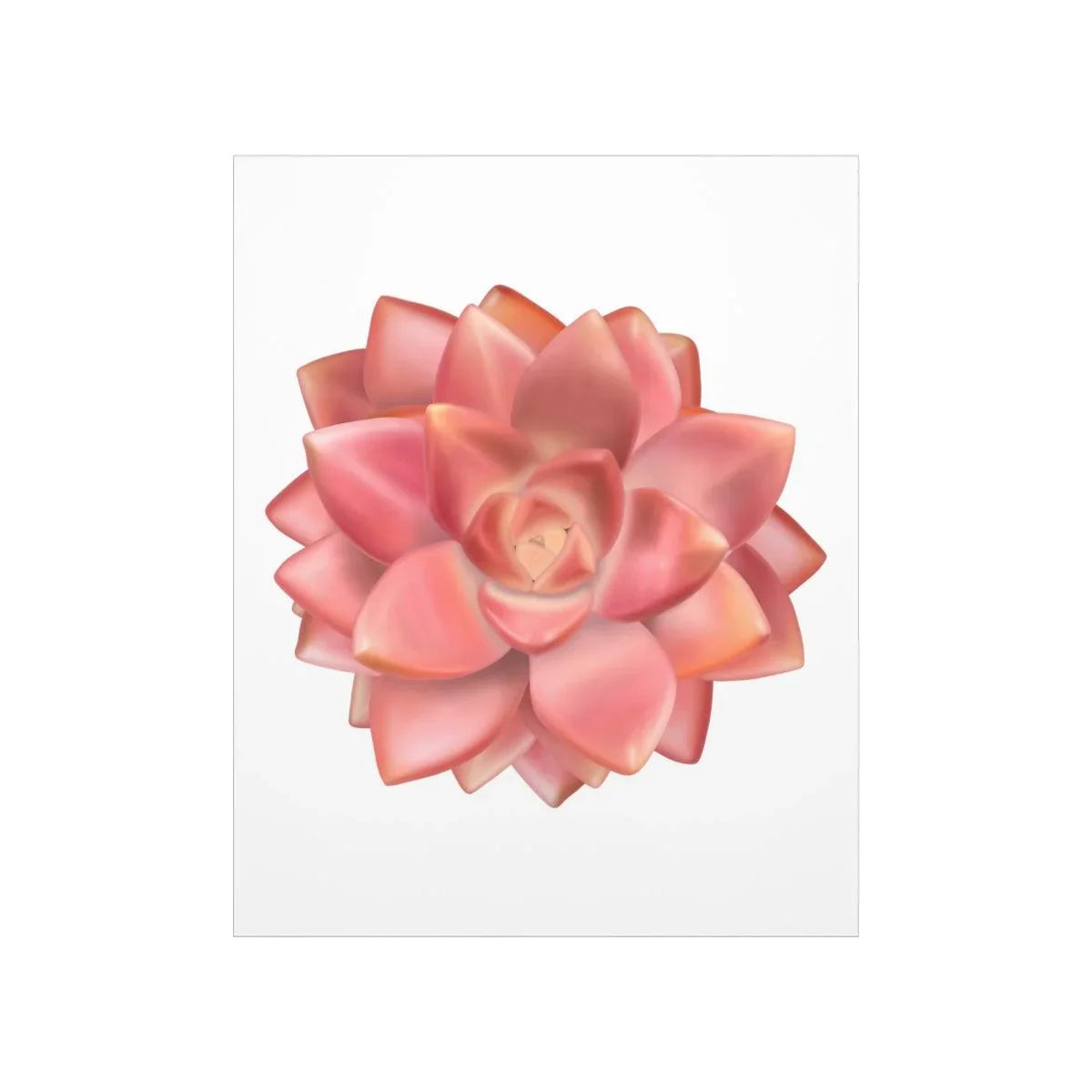 Graptosedum California Sunset Succulent Botanical Print – Unframed Wall Art