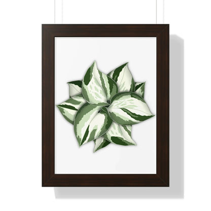 Manjula Pothos Framed Print – Botanical Wall Art