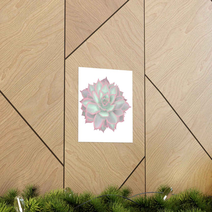 Echeveria Violet Queen Succulent Botanical Print – Unframed Wall Art