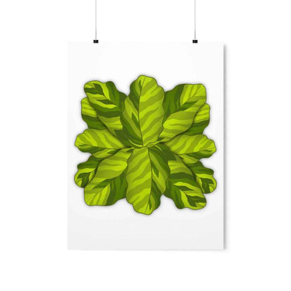 Calathea Yellow Fusion Botanical Print – Unframed Wall Art