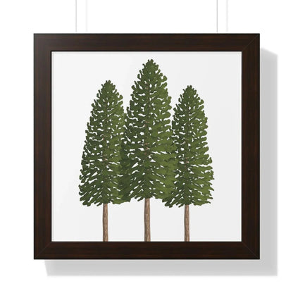 Ponderosa Pine Framed Print – Wall Art