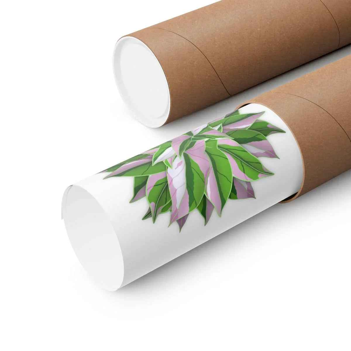 Syngonium Tricolor Pattern Botanical Print – Unframed Wall Art