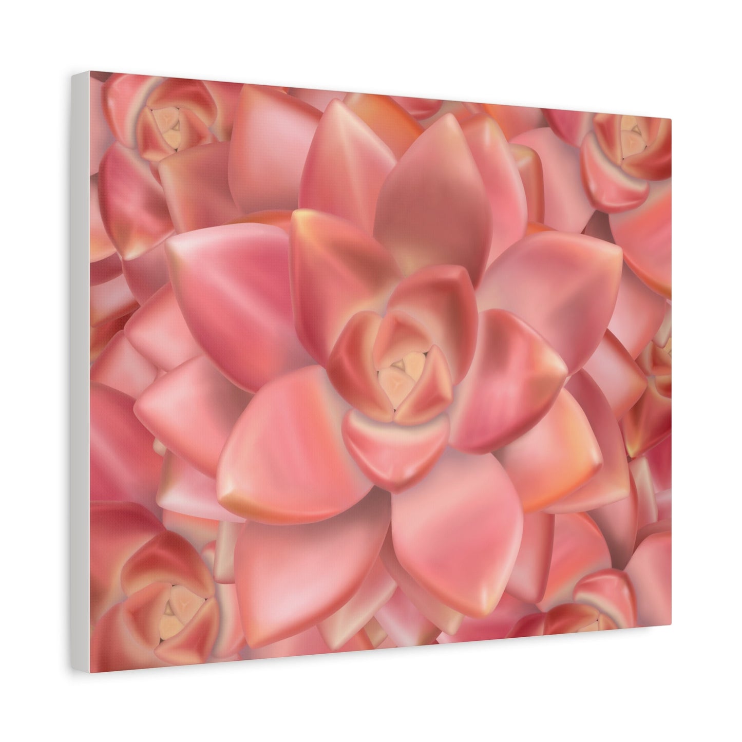 Graptosedum California Sunset Succulent Pattern Canvas Print – Botanical Wall Art