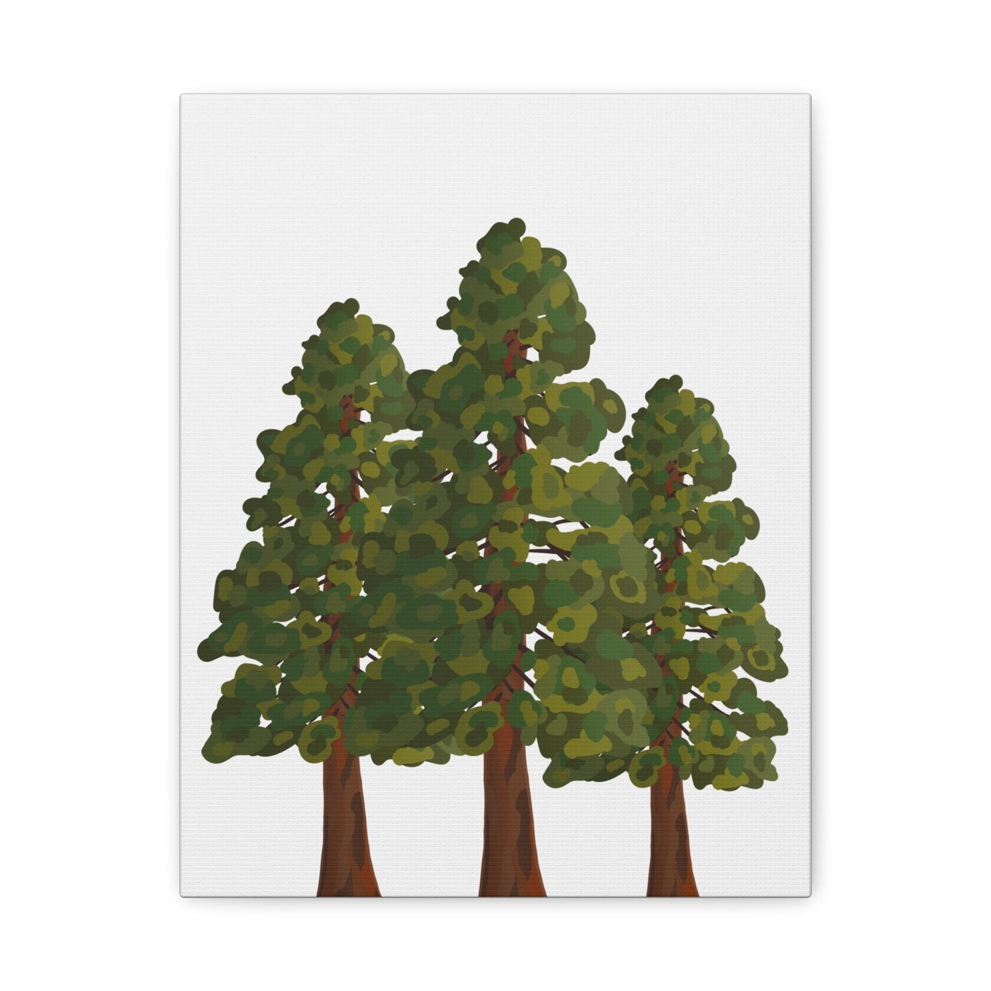 Coastal Redwood Canvas Print – Wall Art