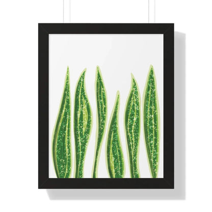 Snake Plant Framed Print – Botanical Wall Art