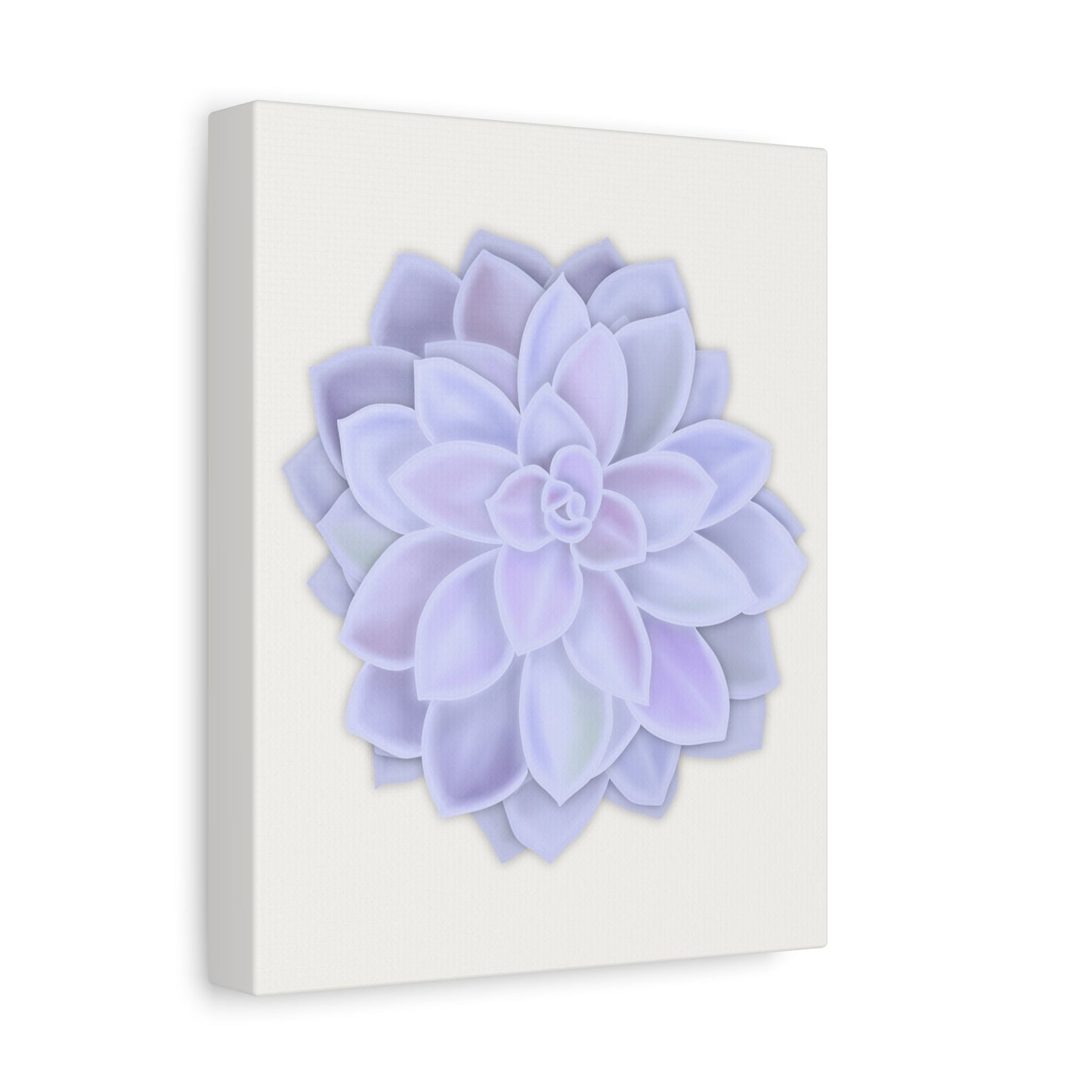 Graptopetalum Murasaki Succulent Canvas Print – Botanical Wall Art