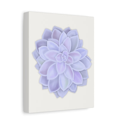 Graptopetalum Murasaki Succulent Canvas Print – Botanical Wall Art