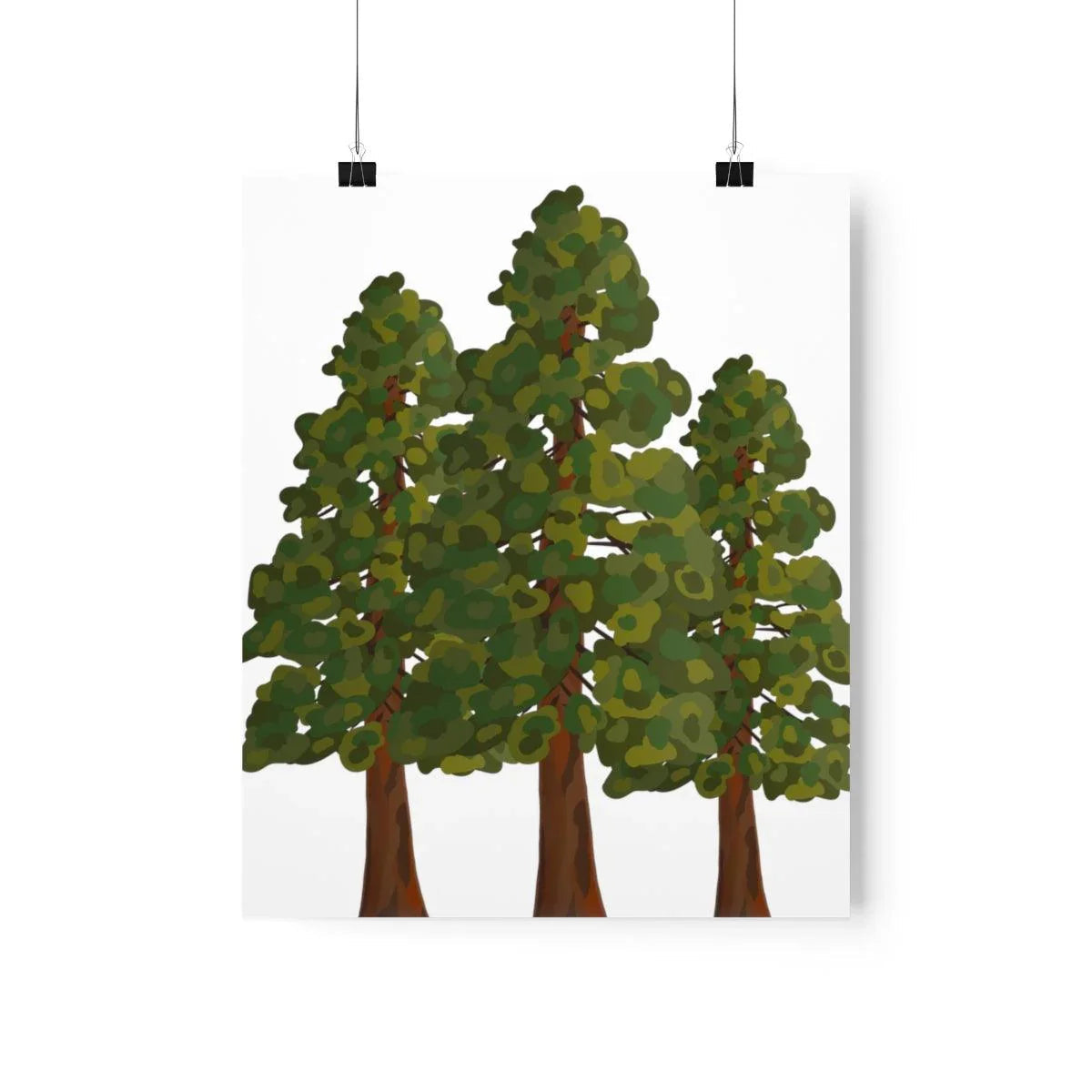 Coastal Redwood Print – Unframed Wall Art