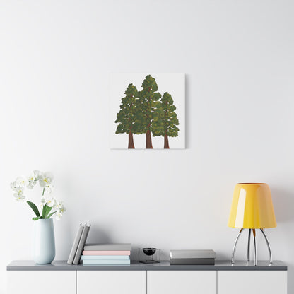 Coastal Redwood Canvas Print – Wall Art