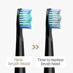 Fairywill FW-507 Electric Sonic Toothbrush - Rechargeable Adult Waterproof Toothbrush with 5 Modes