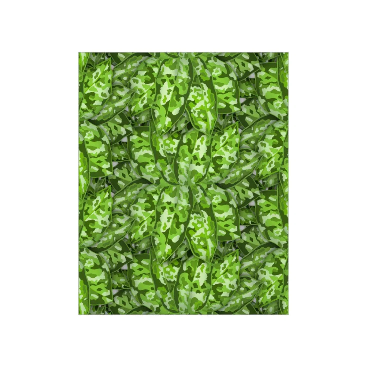 Aglaonema Pictum Botanical Print – Unframed Wall Art