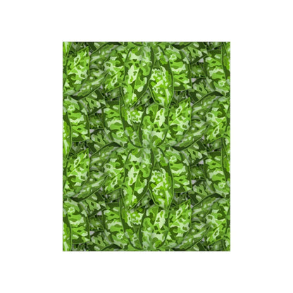 Aglaonema Pictum Botanical Print – Unframed Wall Art