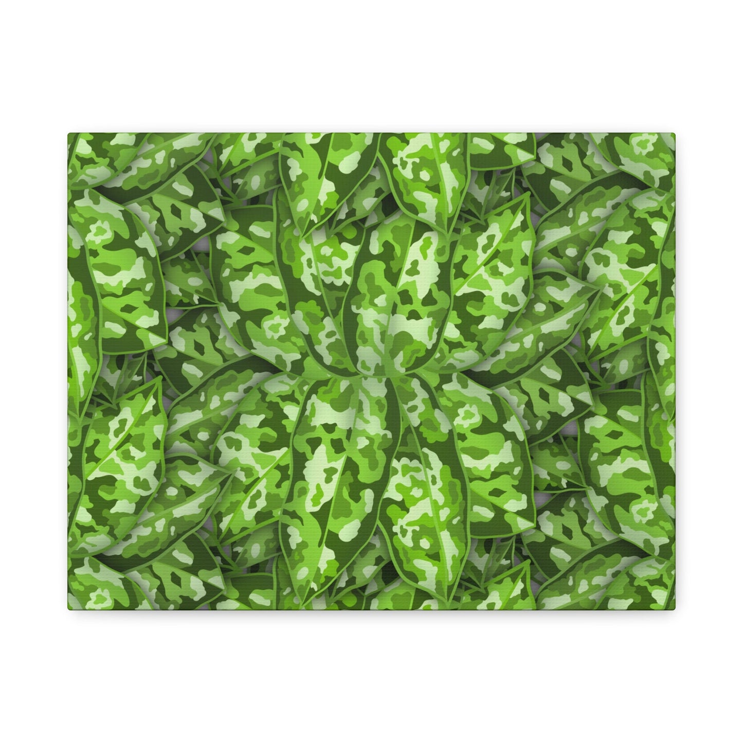 Aglaonema Pictum Canvas Print – Botanical Wall Art