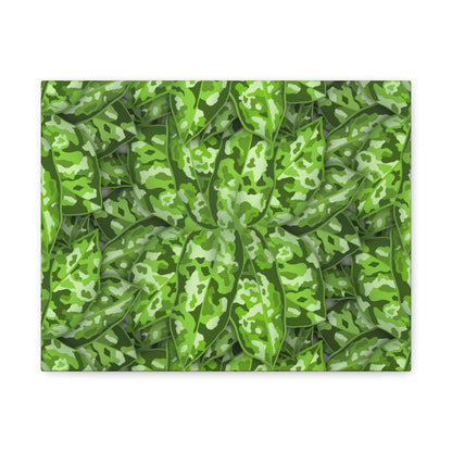 Aglaonema Pictum Canvas Print – Botanical Wall Art